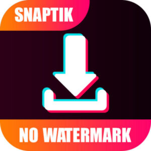 Supported File Formats On Snaptik: A Comprehensive List