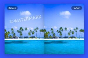 What Is Watermark?