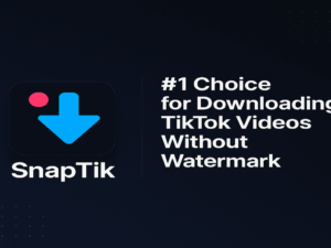 Best Snaptik Downloader